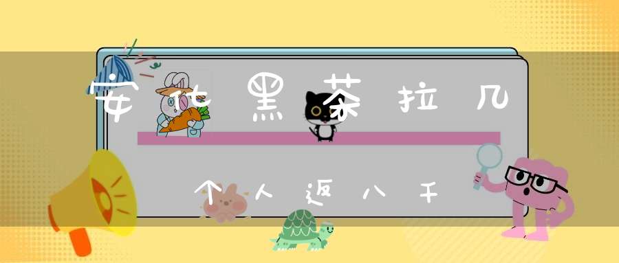 安化黑茶拉几个人返八千