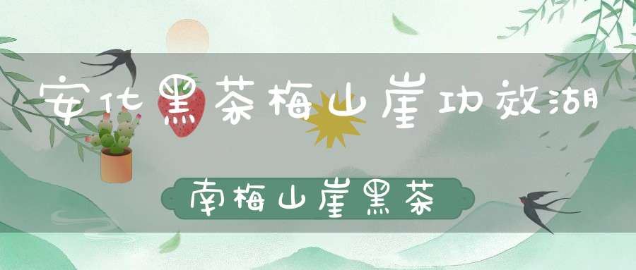 安化黑茶梅山崖功效湖南梅山崖黑茶