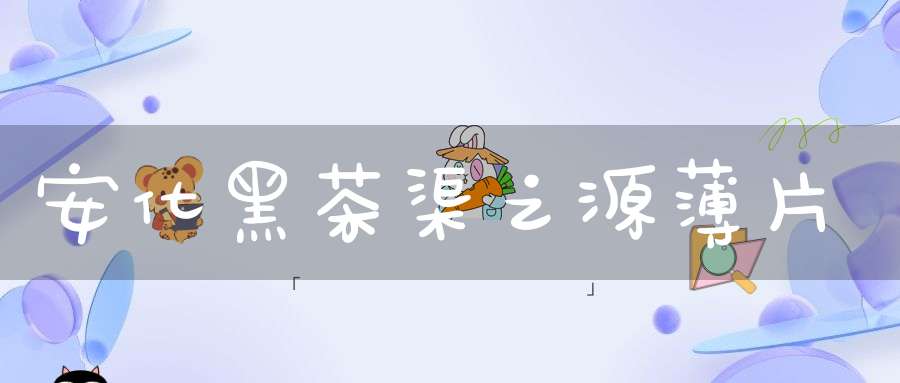 安化黑茶渠之源薄片