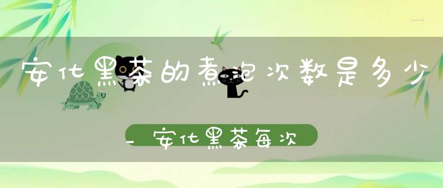 安化黑茶的煮泡次数是多少_安化黑茶每次泡多少克