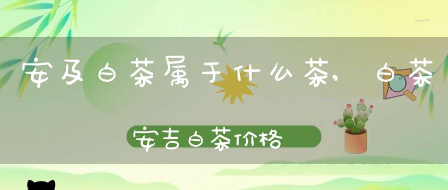 安及白茶属于什么茶,白茶安吉白茶价格
