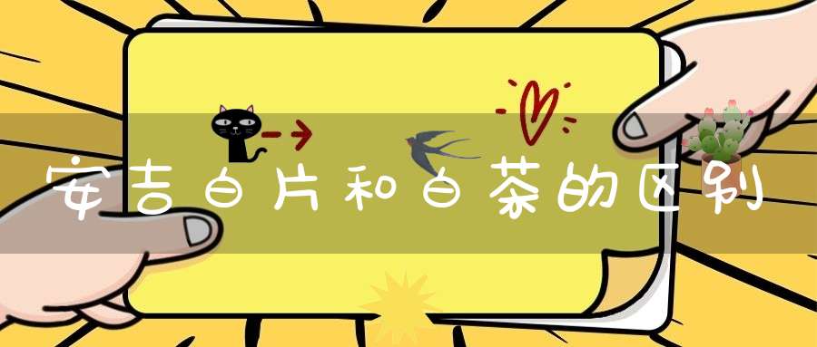 安吉白片和白茶的区别