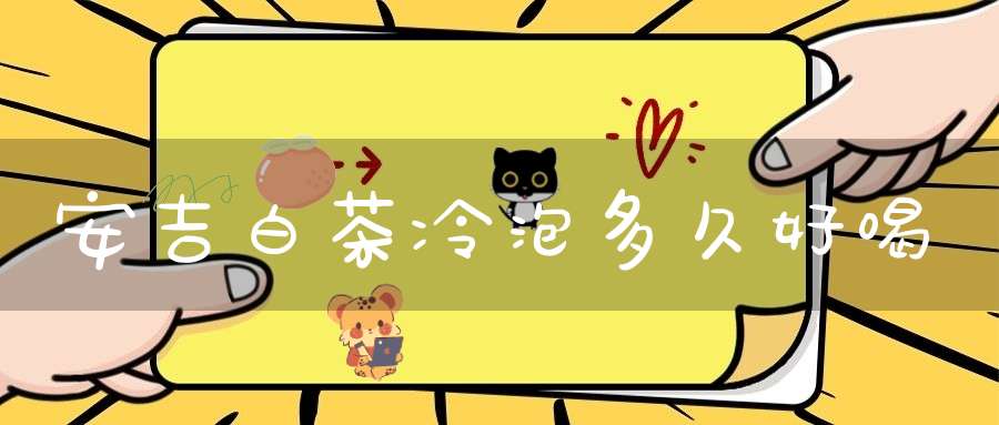 安吉白茶冷泡多久好喝