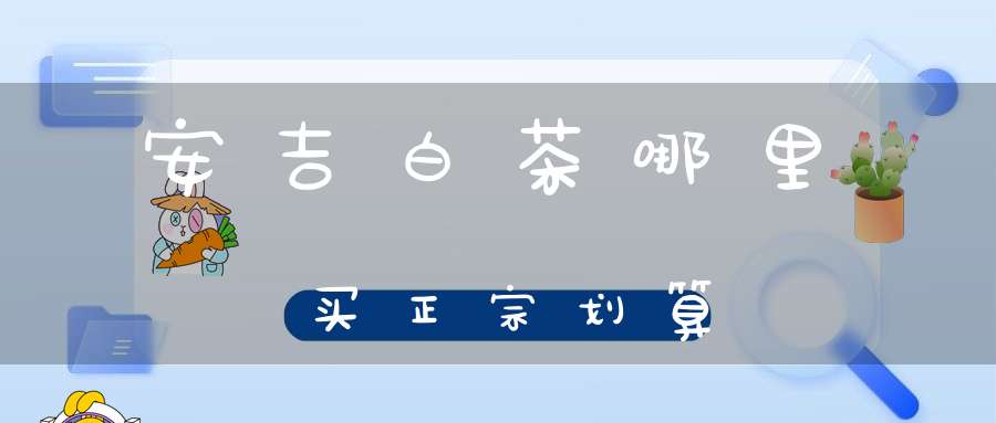 安吉白茶哪里买正宗划算