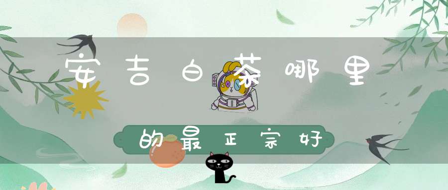 安吉白茶哪里的最正宗好