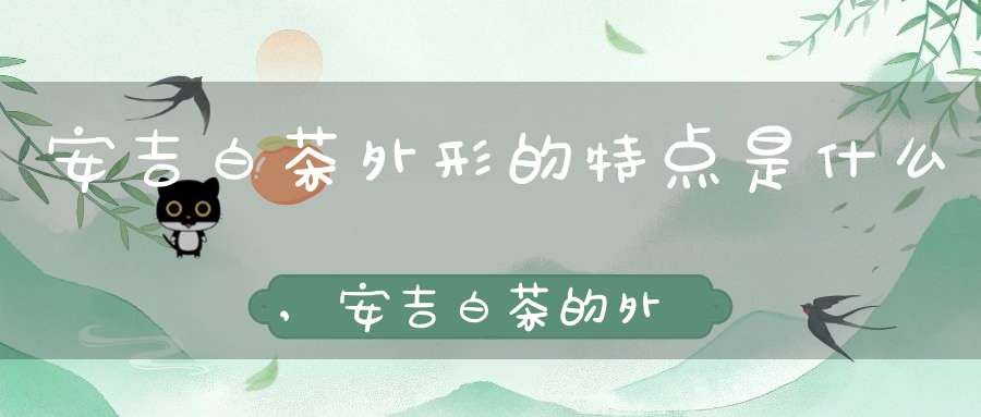 安吉白茶外形的特点是什么,安吉白茶的外形和色泽