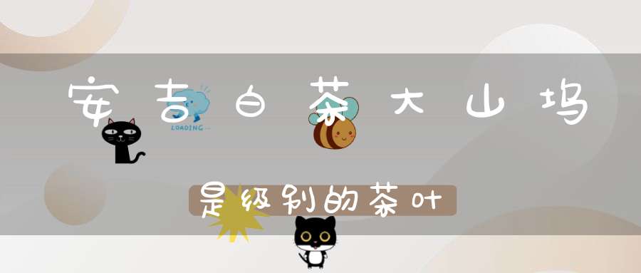 安吉白茶大山坞是级别的茶叶