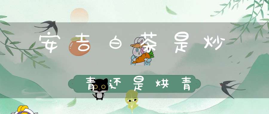 安吉白茶是炒青还是烘青