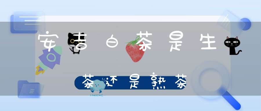 安吉白茶是生茶还是熟茶