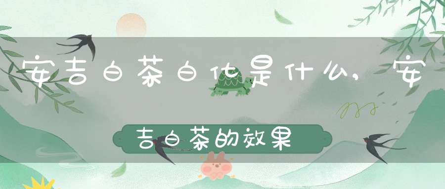 安吉白茶白化是什么,安吉白茶的效果
