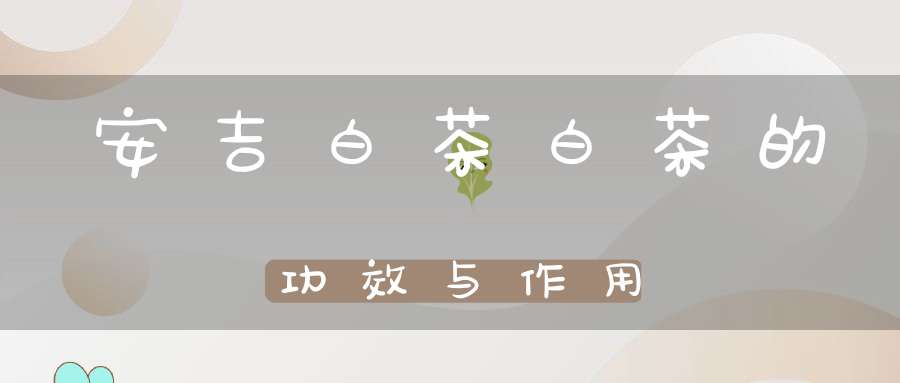 安吉白茶白茶的功效与作用
