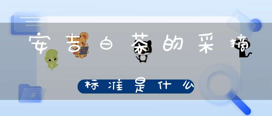 安吉白茶的采摘标准是什么