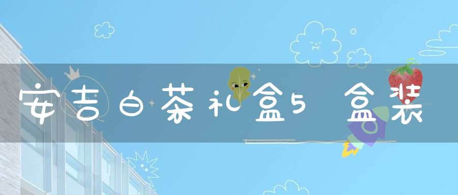 安吉白茶礼盒5盒装