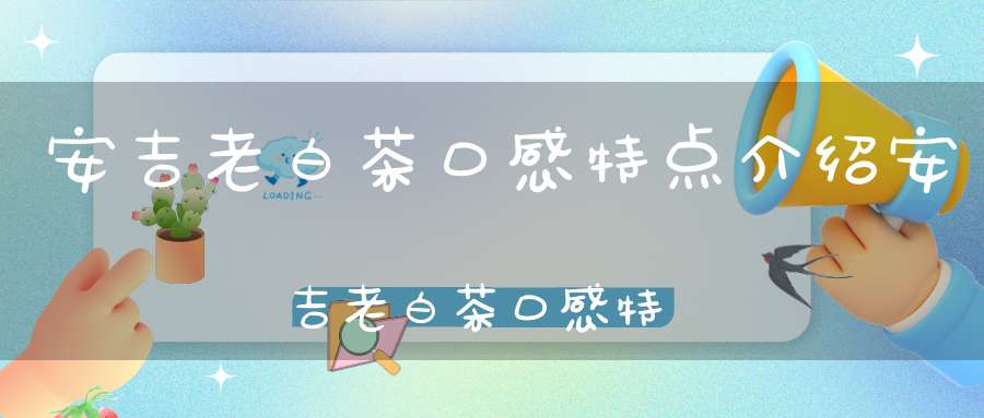 安吉老白茶口感特点介绍安吉老白茶口感特点是什么