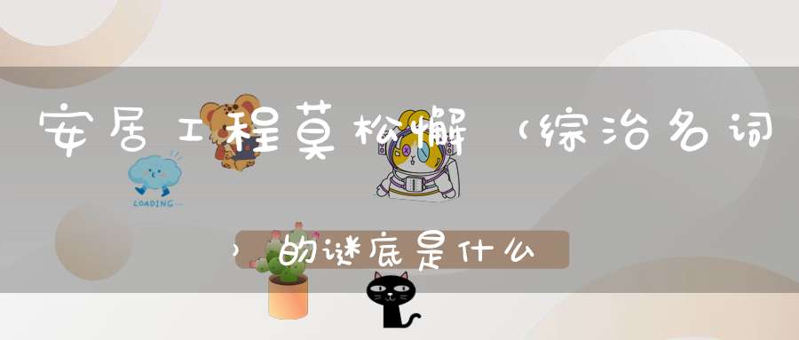 安居工程莫松懈 （综治名词）的谜底是什么?