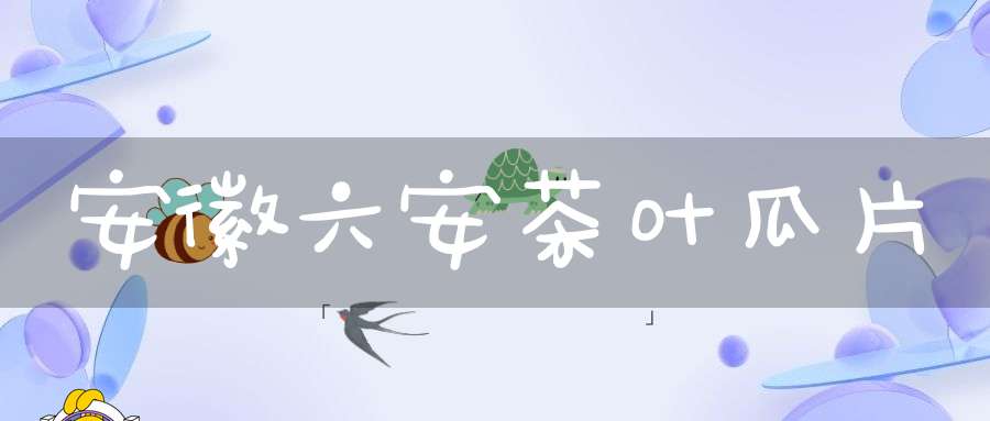 安徽六安茶叶瓜片