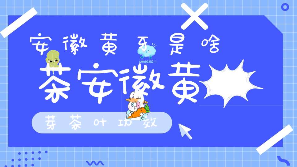 安徽黄牙是啥茶安徽黄芽茶叶功效