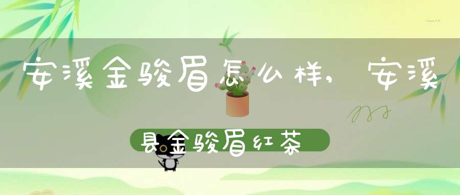 安溪金骏眉怎么样,安溪县金骏眉红茶