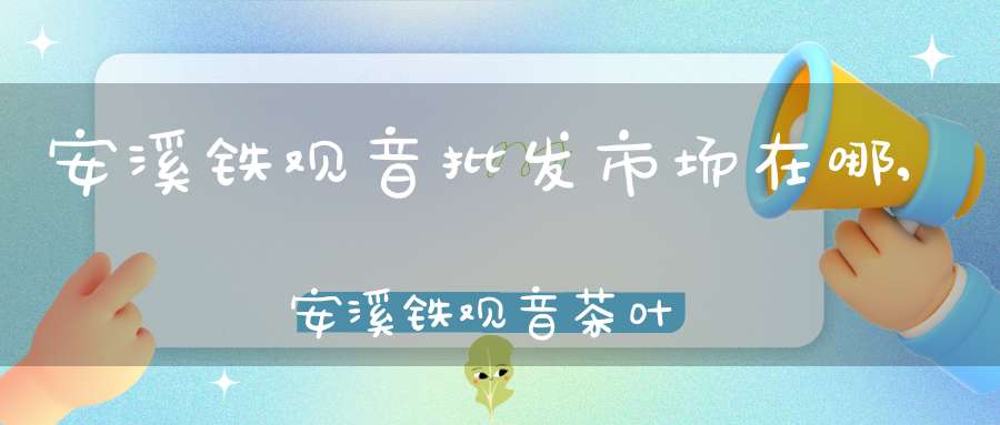 安溪铁观音批发市场在哪,安溪铁观音茶叶批发