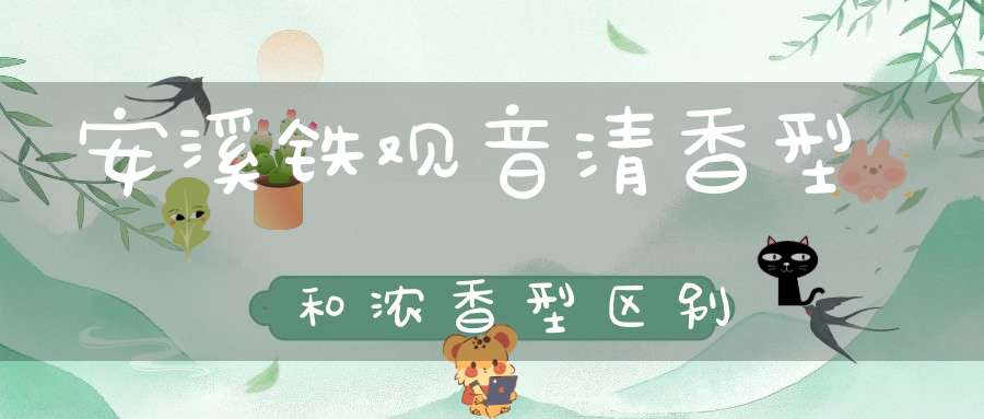 安溪铁观音清香型和浓香型区别