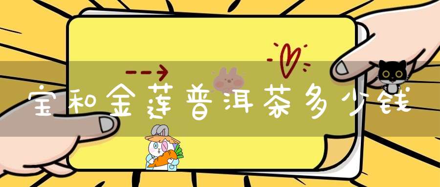 宝和金莲普洱茶多少钱