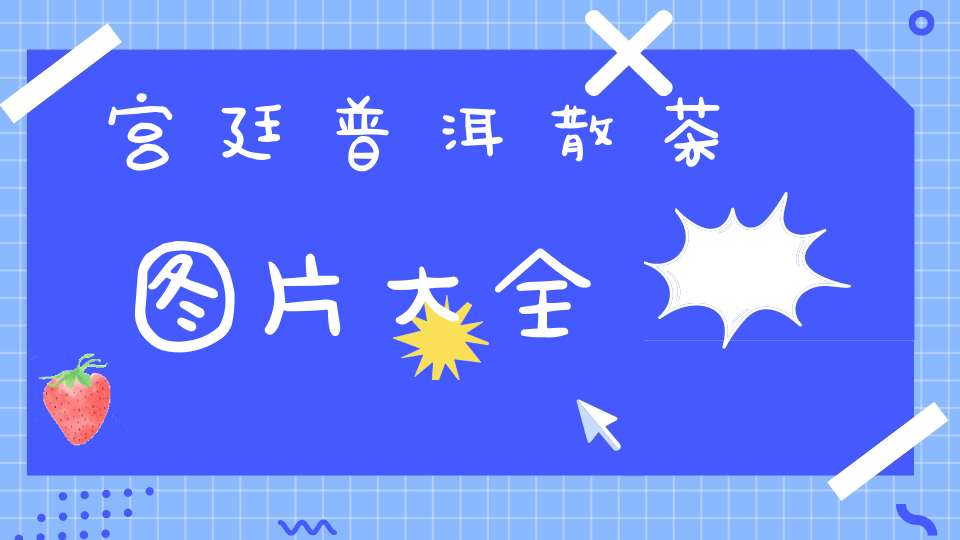 宫廷普洱散茶图片大全