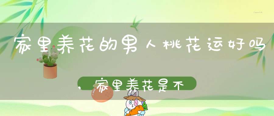 家里养花的男人桃花运好吗,家里养花是不是男人有桃花运