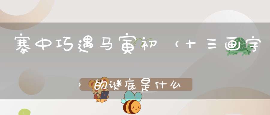寨中巧遇马寅初 （十三画字）的谜底是什么?