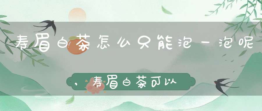 寿眉白茶怎么只能泡一泡呢,寿眉白茶可以泡几泡