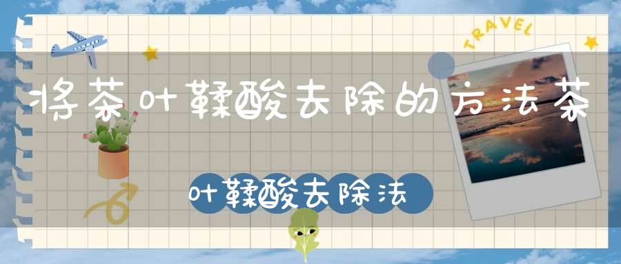 将茶叶鞣酸去除的方法茶叶鞣酸去除法
