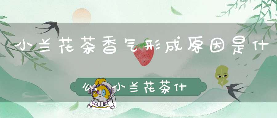 小兰花茶香气形成原因是什么,小兰花茶什么味道