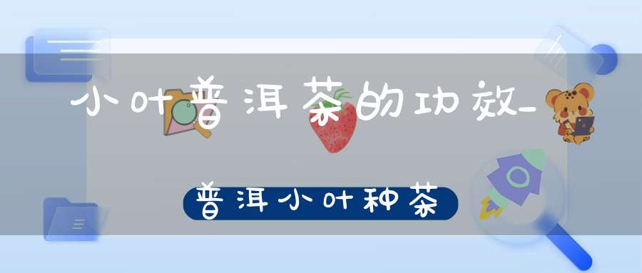 小叶普洱茶的功效_普洱小叶种茶