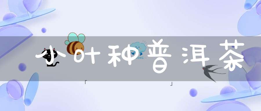 小叶种普洱茶
