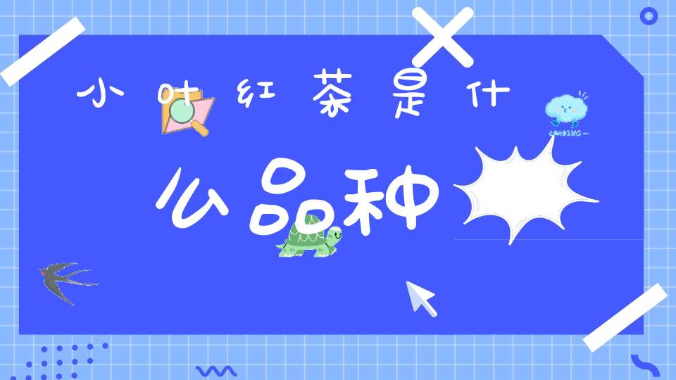 小叶红茶是什么品种