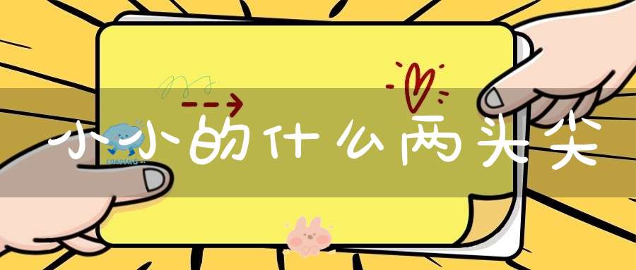 小小的什么两头尖