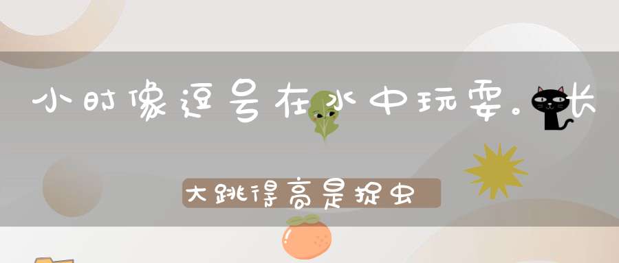 小时像逗号，在水中玩耍。长大跳得高，是捉虫冠军（打一动物）