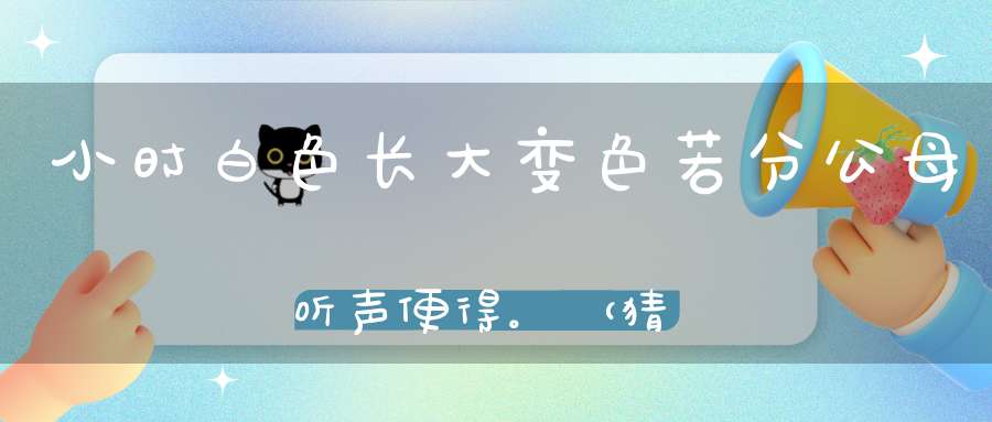 小时白色，长大变色，若分公母，听声便得。 （猜一动物）