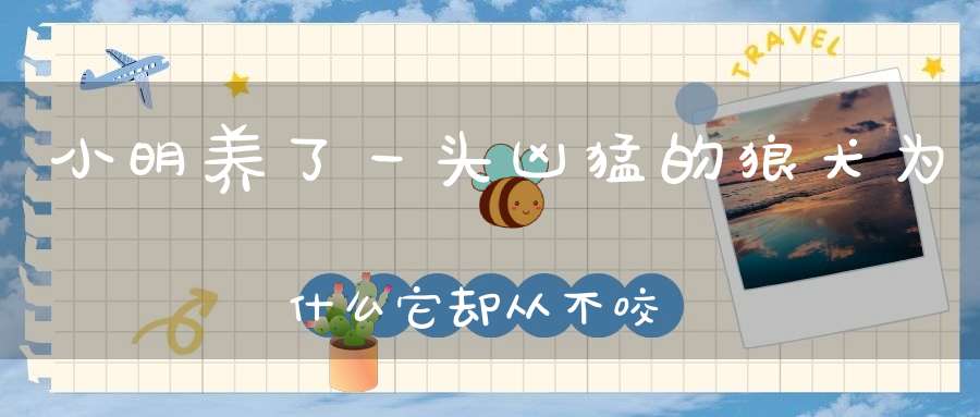 小明养了一头凶猛的狼犬，为什么它却从不咬胖子