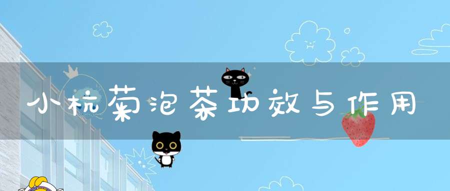 小杭菊泡茶功效与作用