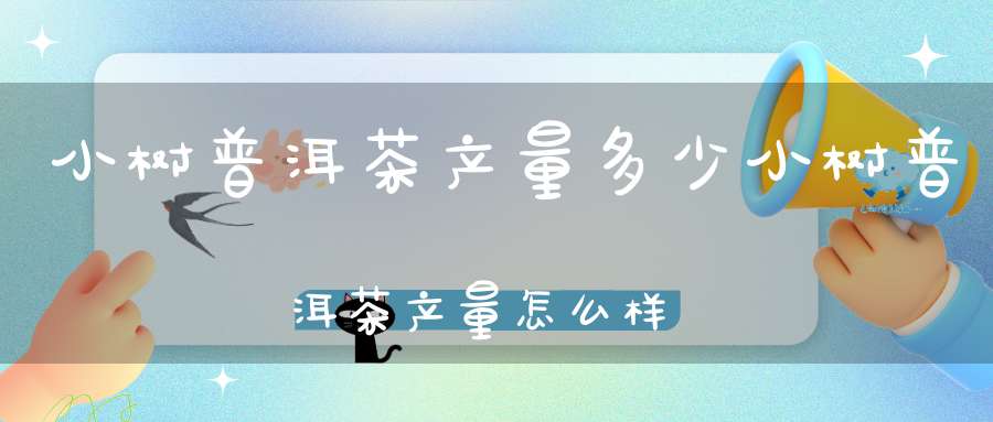 小树普洱茶产量多少小树普洱茶产量怎么样