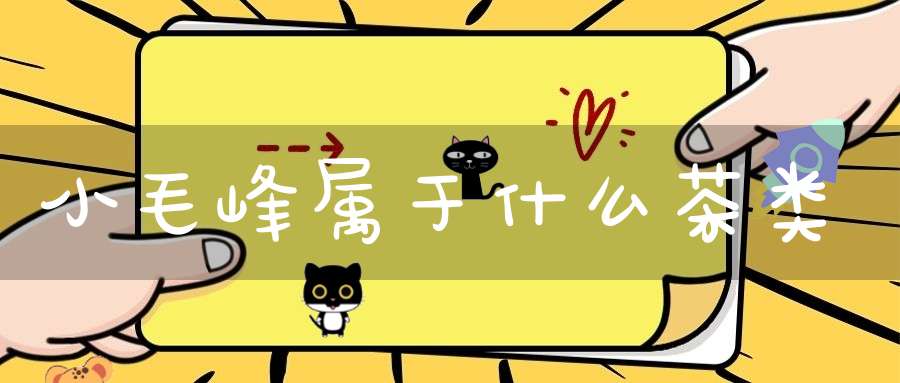 小毛峰属于什么茶类