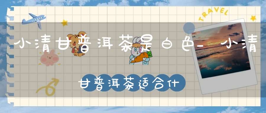 小清甘普洱茶是白色_小清甘普洱茶适合什么人喝
