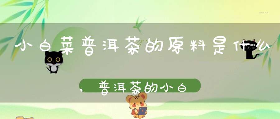 小白菜普洱茶的原料是什么,普洱茶的小白菜是什么意思啊