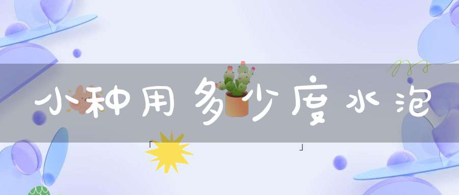 小种用多少度水泡