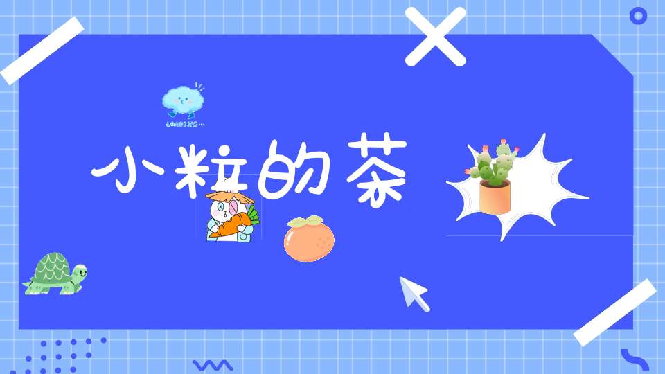 小粒的茶
