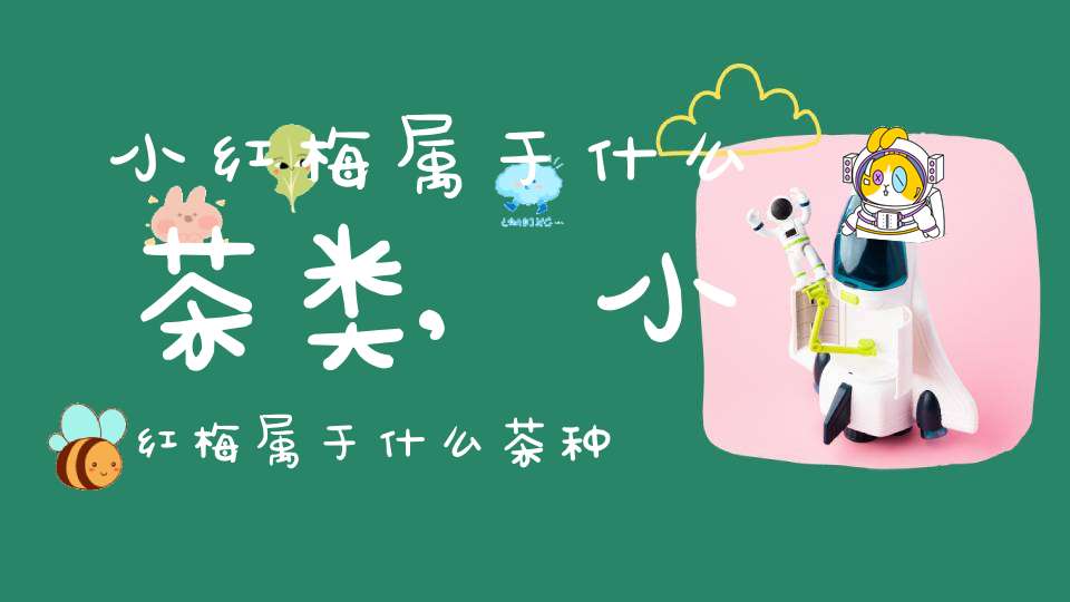 小红梅属于什么茶类,小红梅属于什么茶种类
