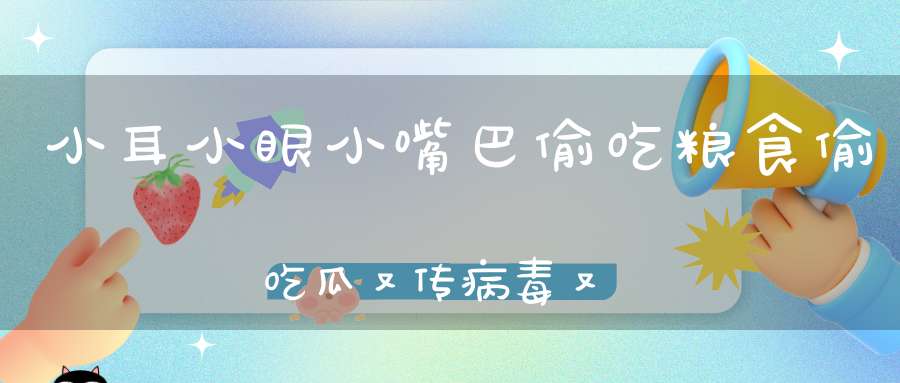 小耳小眼小嘴巴，偷吃粮食偷吃瓜，又传病毒又破坏，人人见了都喊猜。 （猜一动物）
