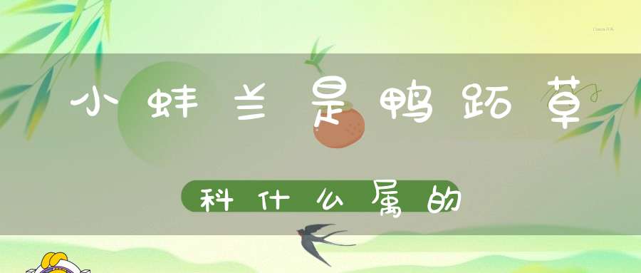 小蚌兰是鸭跖草科什么属的？