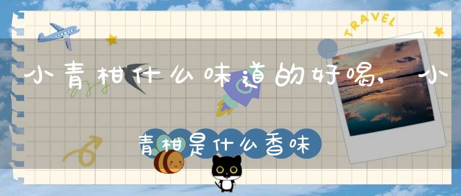 小青柑什么味道的好喝,小青柑是什么香味