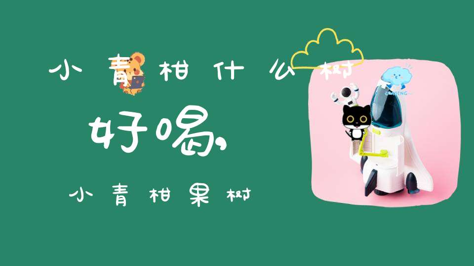 小青柑什么树好喝,小青柑果树